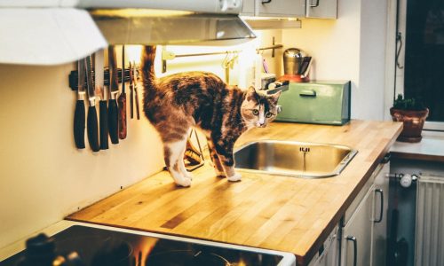 Adorable Floor Lamp: The Perfect Addition to Your Home