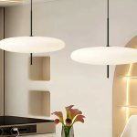 Bold and Modern: Artistic Acrylic Pendant Lamp