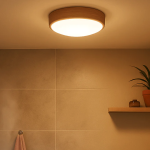 Upgrade Your Bathroom with IP44 Rated Waterproof Ceiling Light