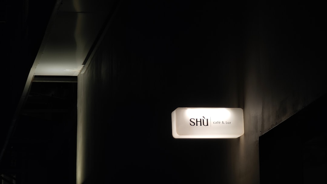 Photo silk plug in sconce